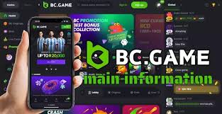 Guide to BC.Game Mirror Registration Your Gateway to Endless Gaming